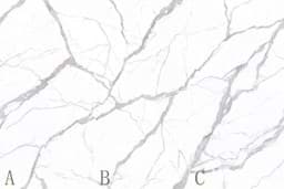 Show details for Top Calaeatta Picture of Top Calaeatta