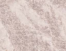 Show details for Rosa Oriente Picture of Rosa Oriente