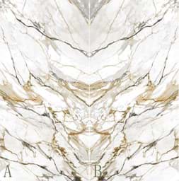 Show details for Arabescato Gold Picture of Arabescato Gold