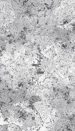 Show details for Silver Fox Picture of Silver Fox