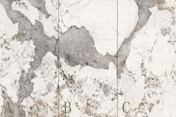 Show details for Pandora Picture of Pandora