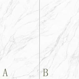 Show details for Artic White Picture of Artic White