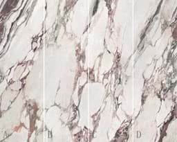 Show details for Calacatta Purple Picture of Calacatta Purple