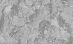 Show details for Elvin Grey Picture of Elvin Grey