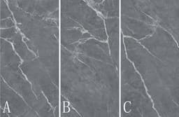 Show details for Jenny Grey Picture of Jenny Grey