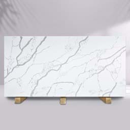 Show details for  BS-SH-6110 Picture of  BS-SH-6110