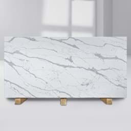 Show details for BS-SH-8638 Picture of BS-SH-8638