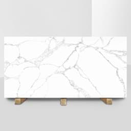 Show details for BS-AP-8890 Polar White Picture of BS-AP-8890 Polar White