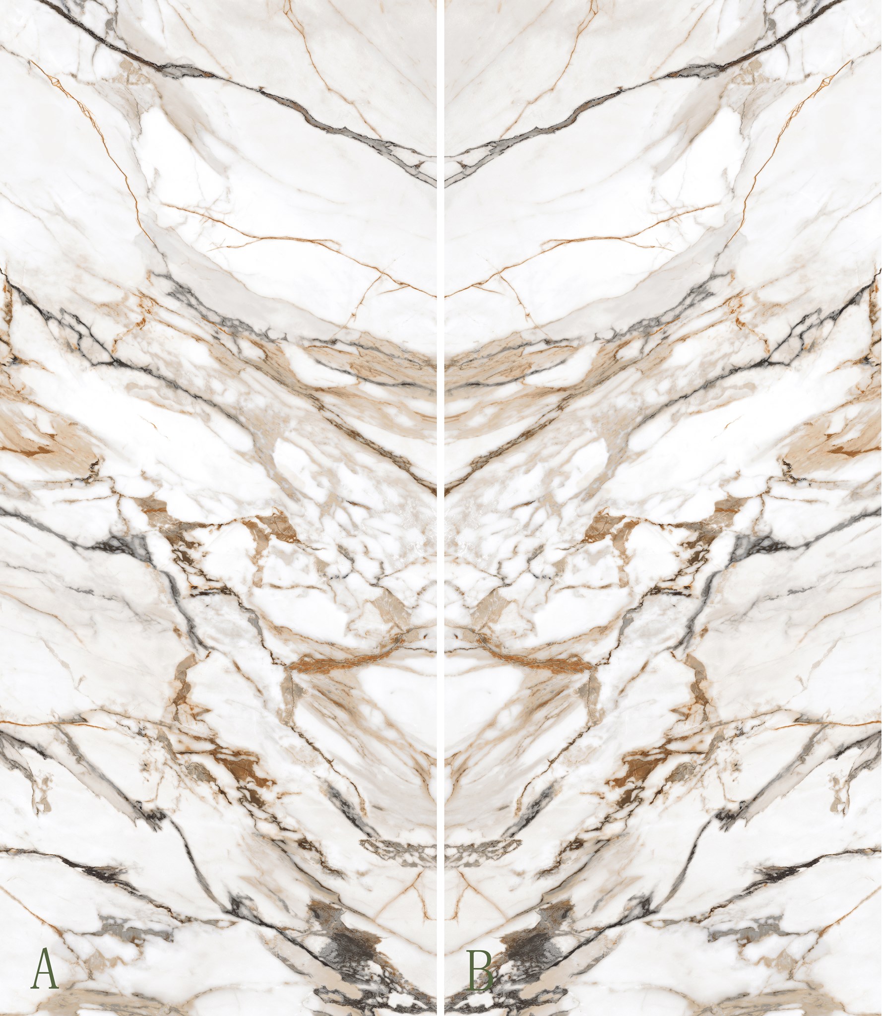 Picture of Arabescato Gold
