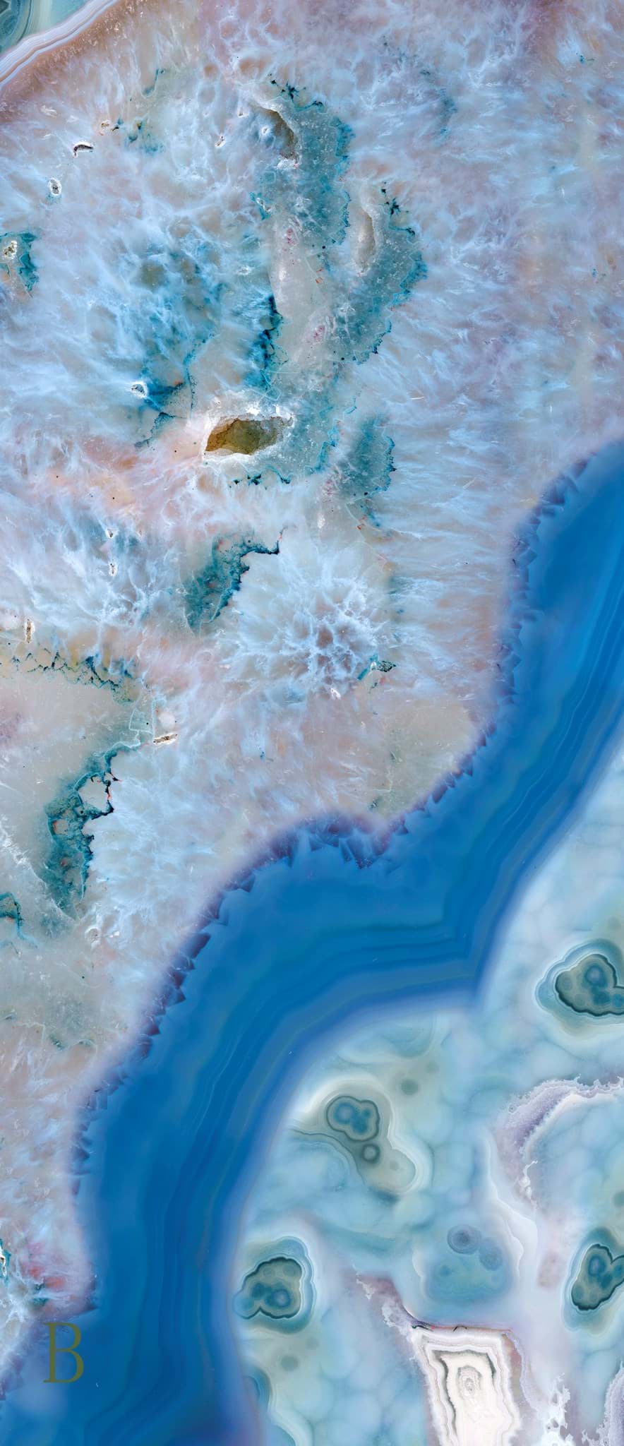 Picture of Coral Sea