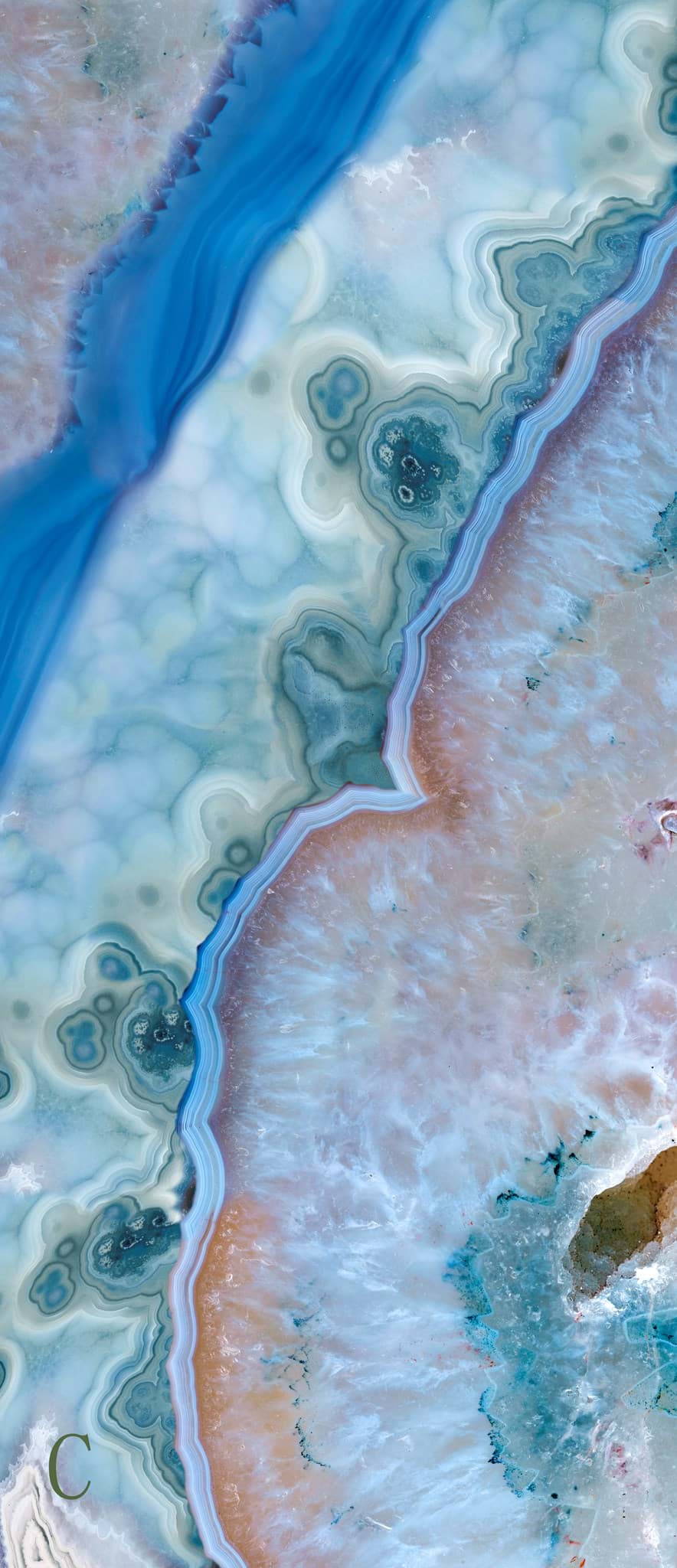 Picture of Coral Sea